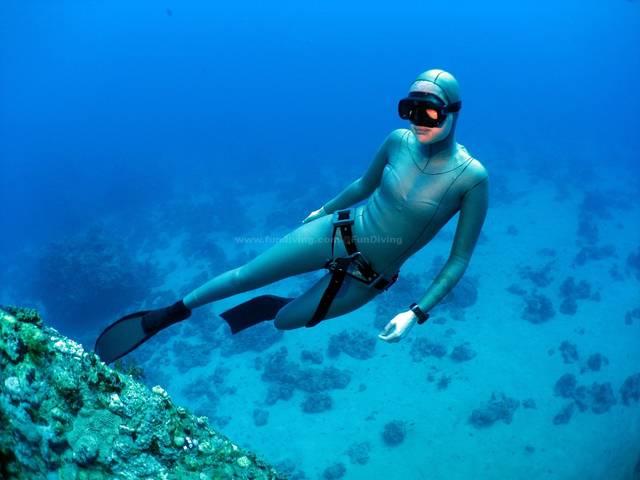 造物法则