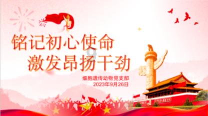 不愧是黄飞鸿的后代！黄瀛子战斗力杠杠的啊，蒋翼成最大受害者《要久久爱》